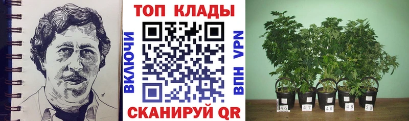 Как найти закладки Советский APVP  ГАШ 