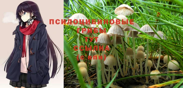 spice Красноперекопск