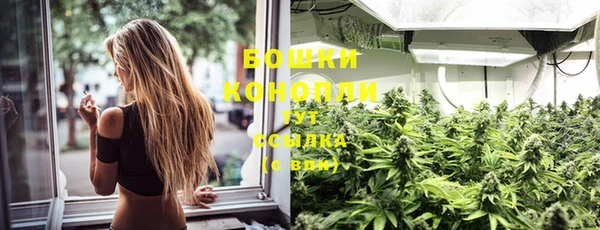 spice Краснослободск