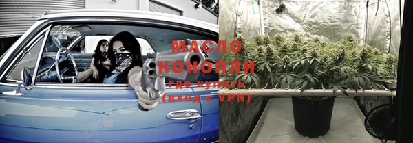 spice Краснослободск