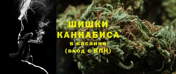 spice Краснослободск