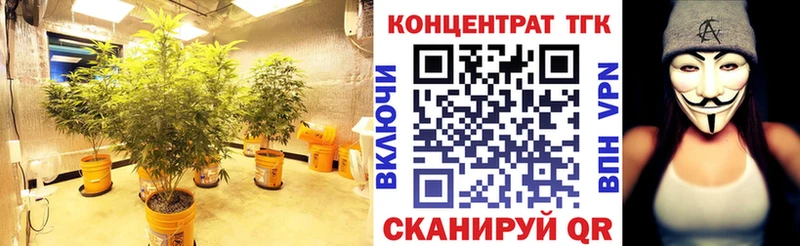гидра как войти  Советский  Дистиллят ТГК концентрат 