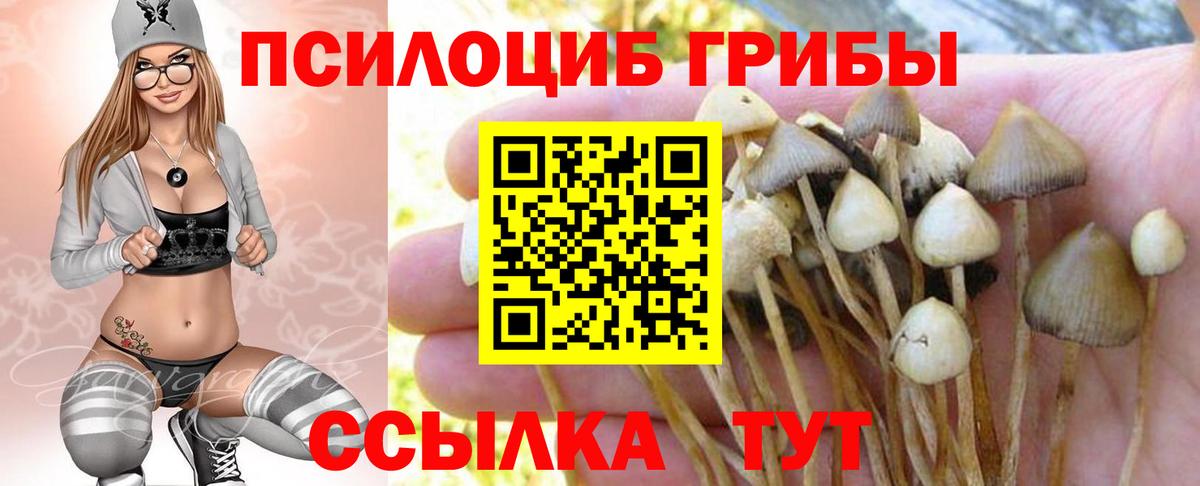 Советский  Псилоцибиновые грибы ЛСД  Вход с VPN  Галлюциногенные грибы прущие грибы 